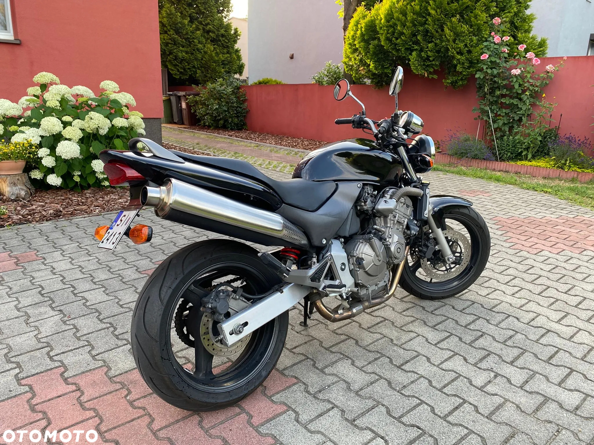 Honda Hornet - 11