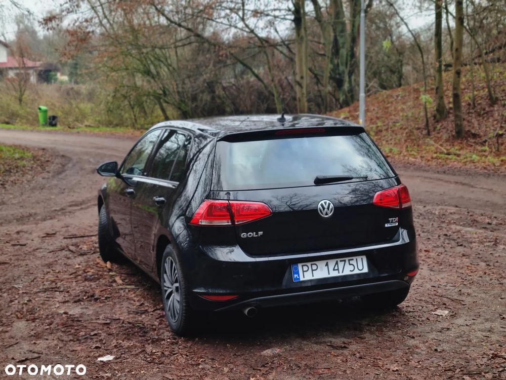 Volkswagen Golf 1.6 TDI BlueMotion Technology Allstar - 3