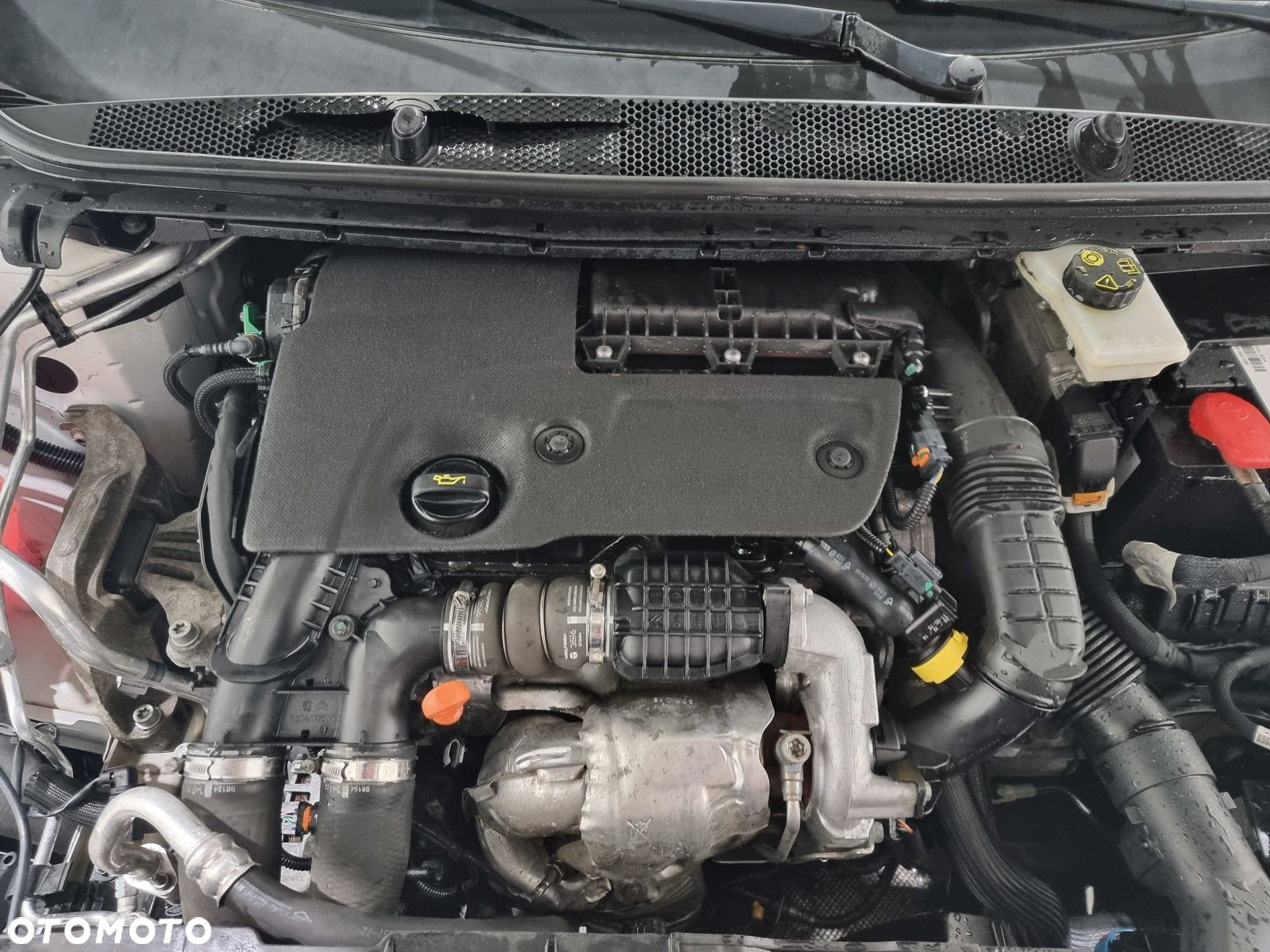 Peugeot 308 - 22
