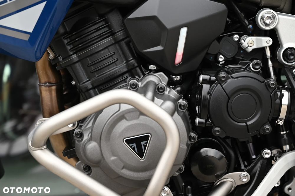 Triumph Tiger - 19