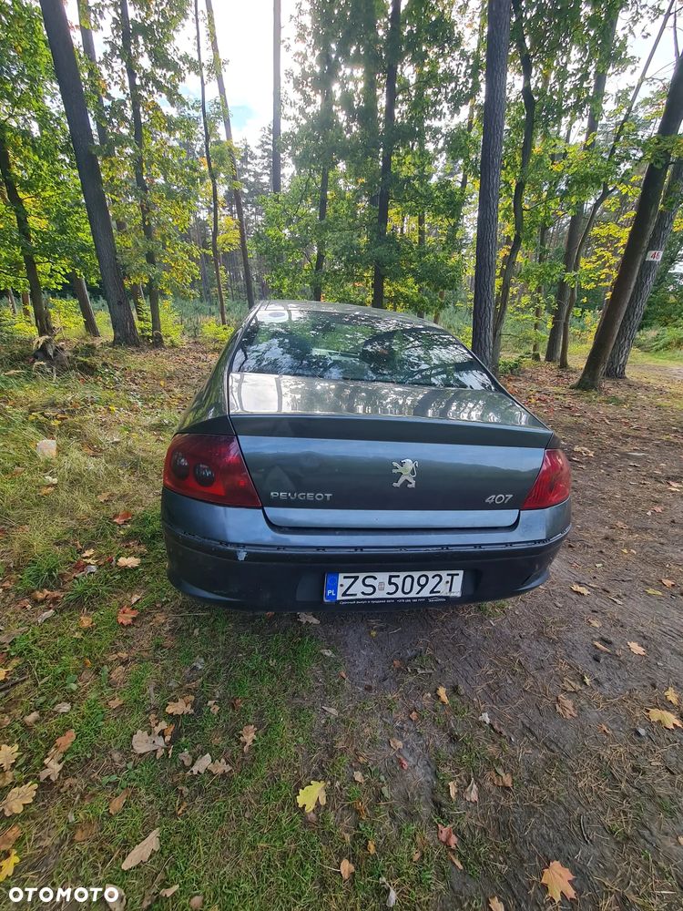 Peugeot 407 - 5