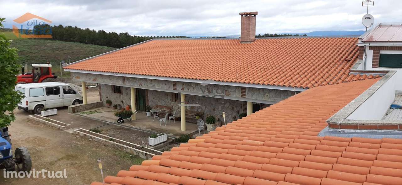 Quinta Mirandela com 12 hectares próxima do Rio Tua - Grande imagem: 3/27