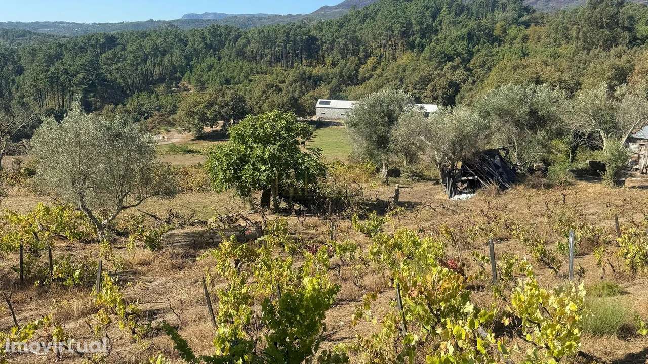 Quinta de 12.200m2 com Potencial Ilimitado, em Lordelo - Vila Real - Grande imagem: 2/11