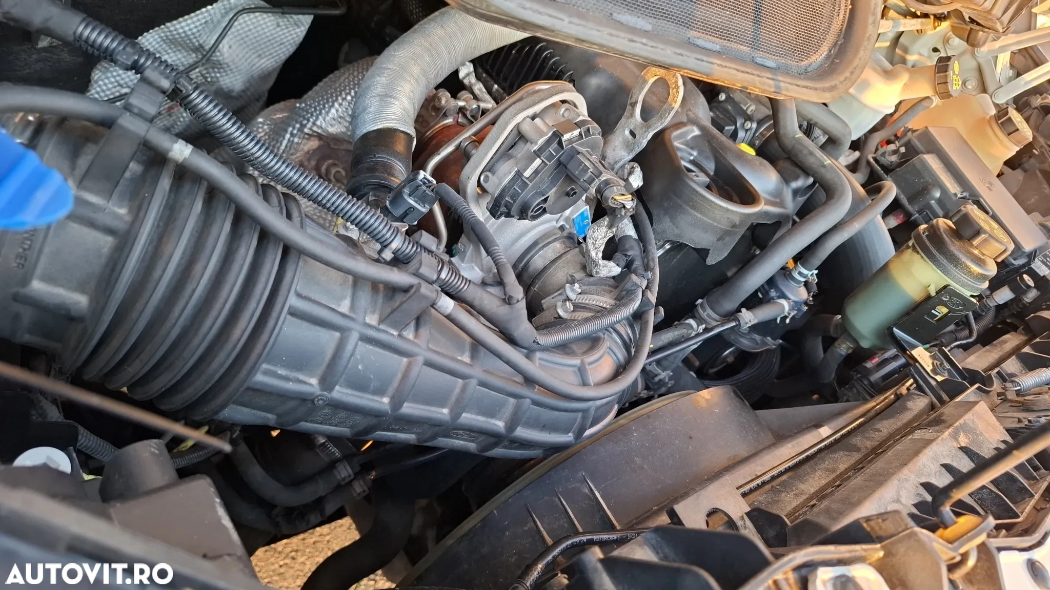 Ford Transit - 19