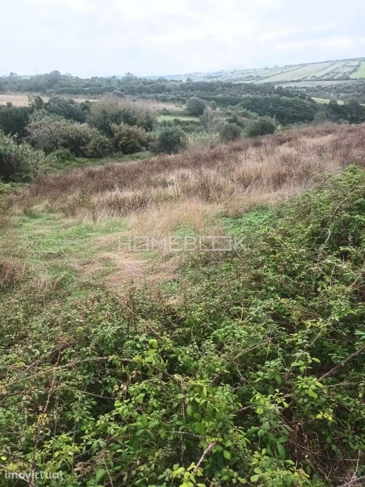 Quintarola Murada a Pedra Seca - Grande imagem: 2/3