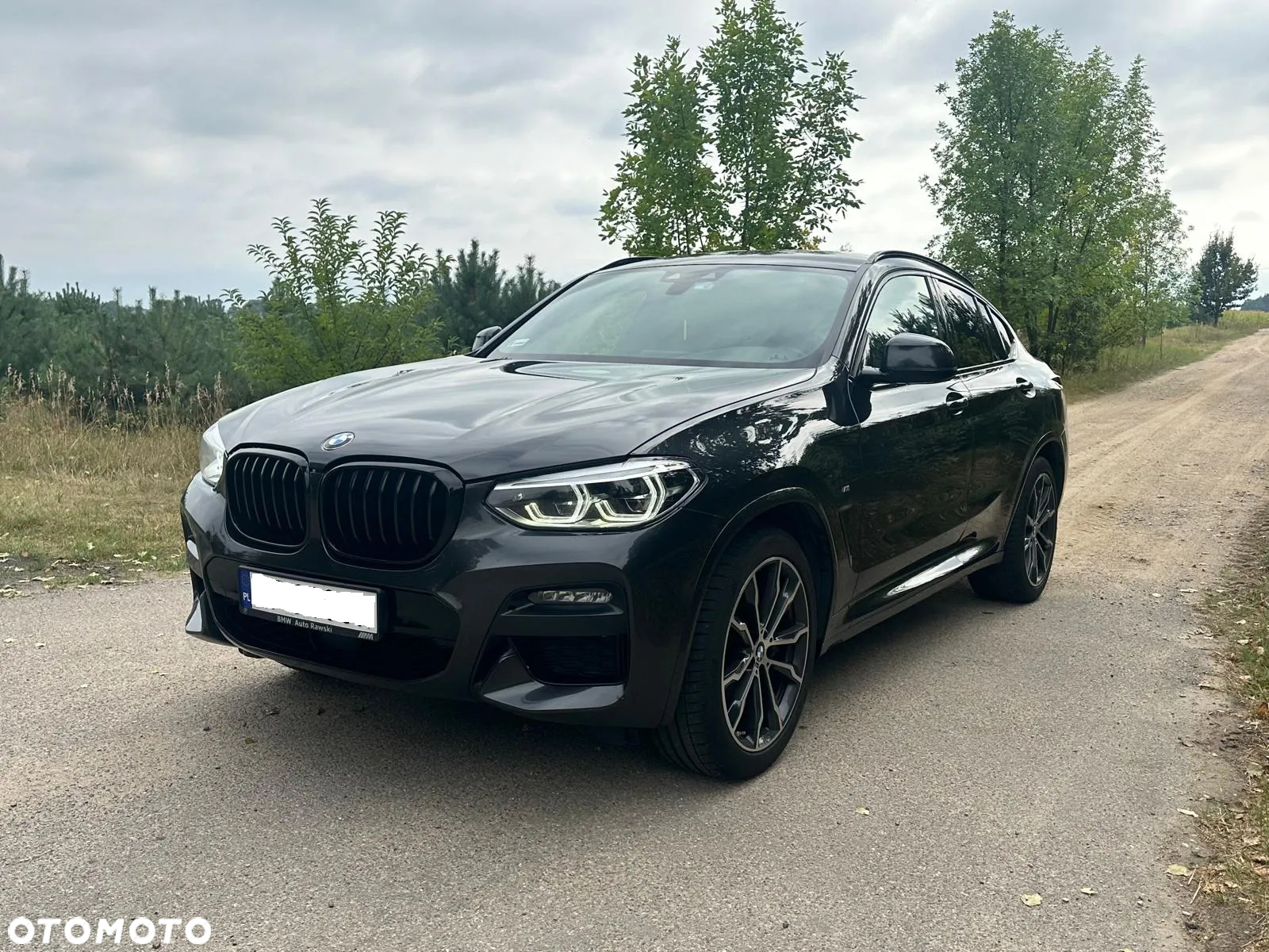 BMW X4 xDrive30d Advantage sport - 7