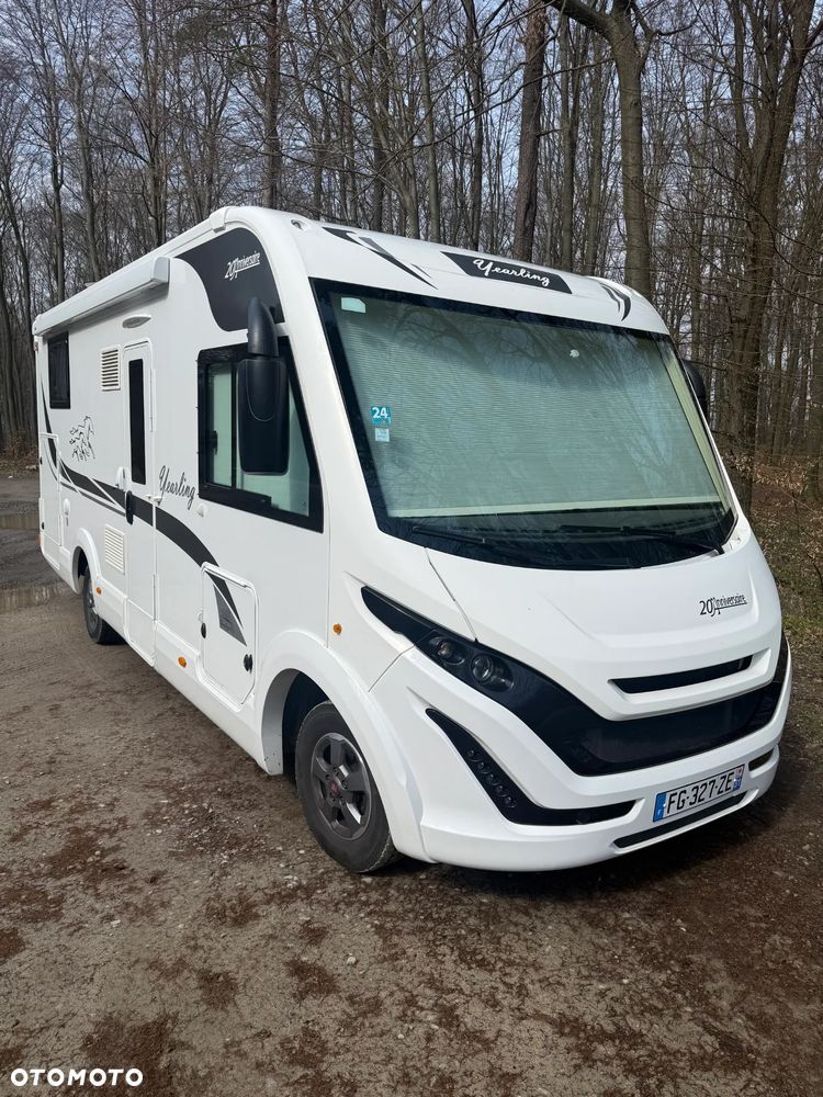 McLOUIS Yearling i61g - 1