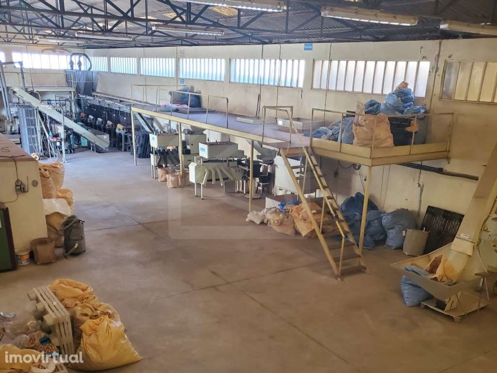 Armazém para Indústria em Lourosa, Santa Maria da Feira - Grande imagem: 3/15