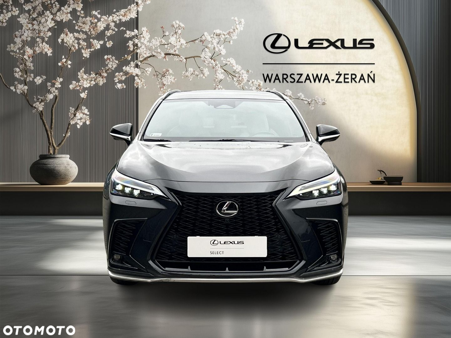 Lexus NX - 8