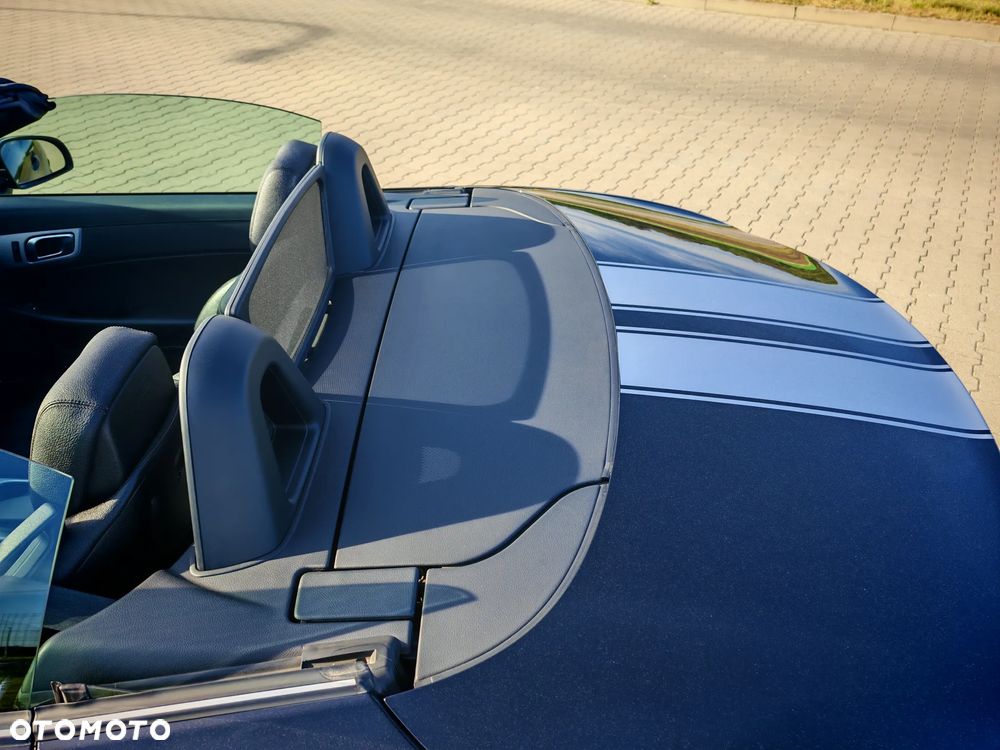 Mercedes-Benz SLK 200 BlueEFFICIENCY 7G-TRONIC Edition 1 - 19