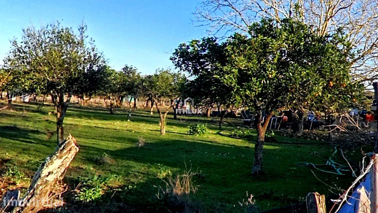 Quinta com 32.500 m2 em Elvas-Alentejo- Portugal - Grande imagem: 5/40