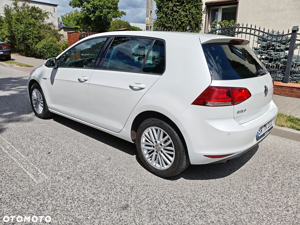 Volkswagen Golf 1.6 TDI BlueMotion Technology Cup - 7