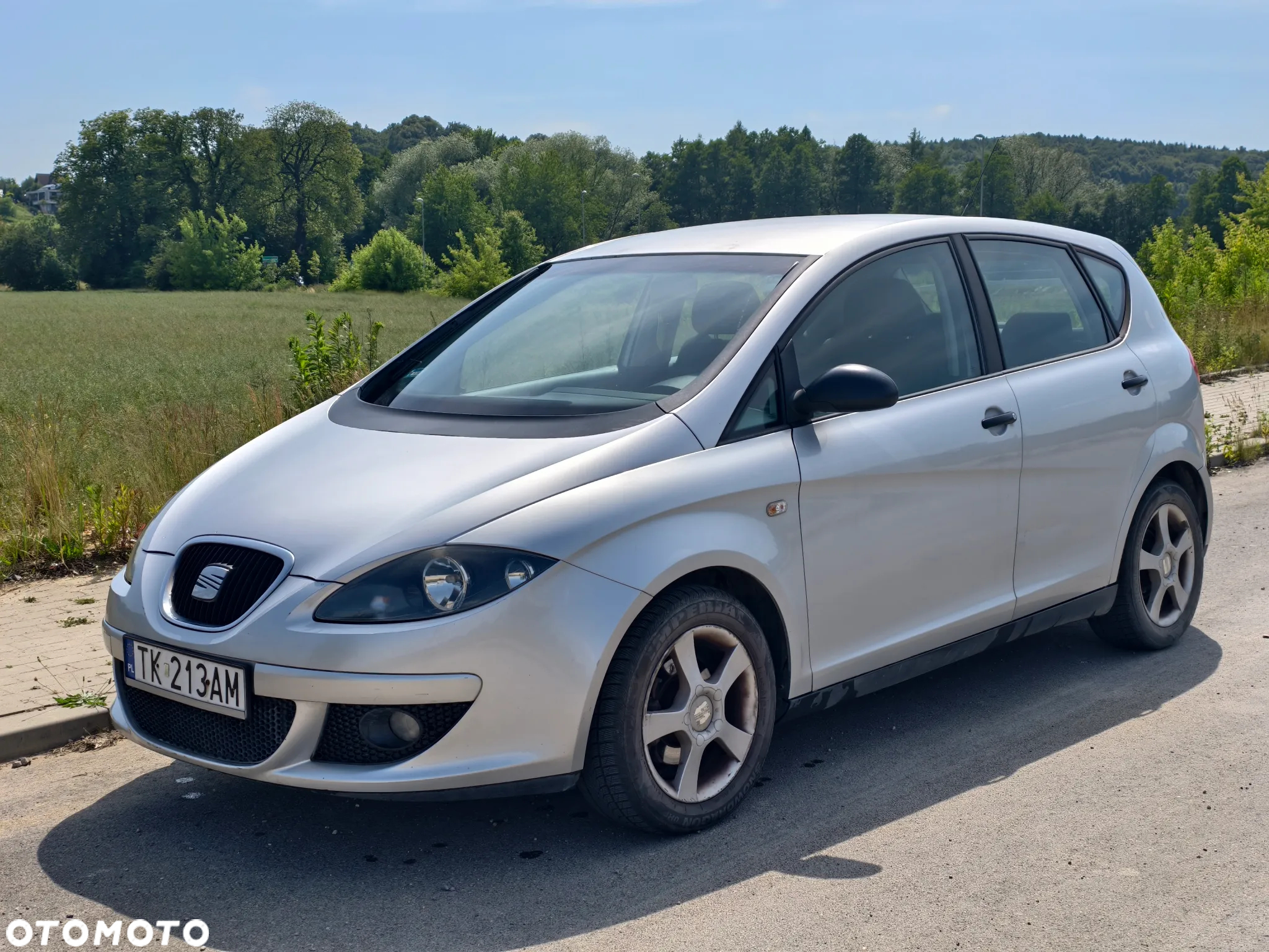 Seat Altea - 3