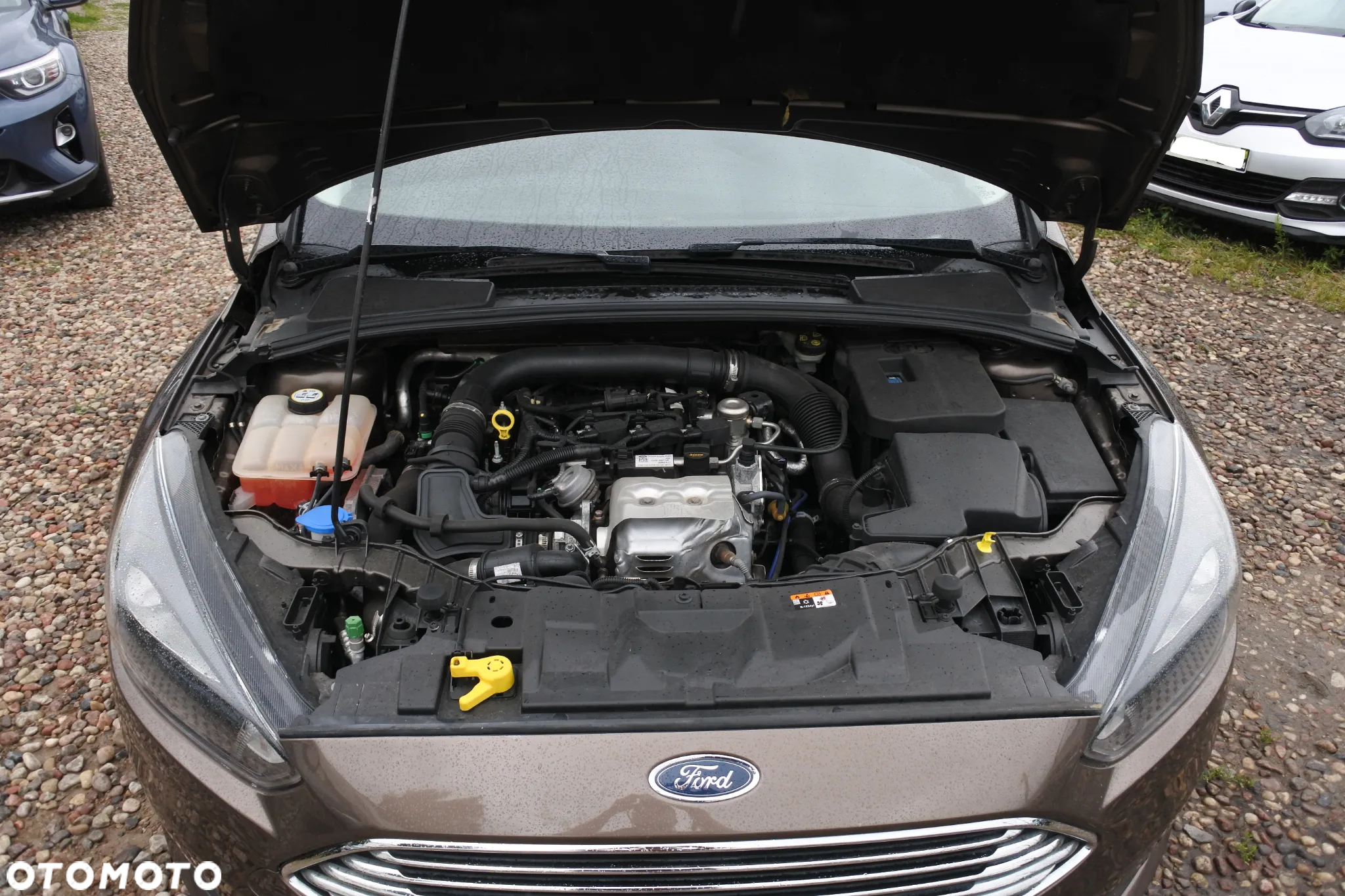Ford Focus 1.0 EcoBoost Platinium X ASS - 26