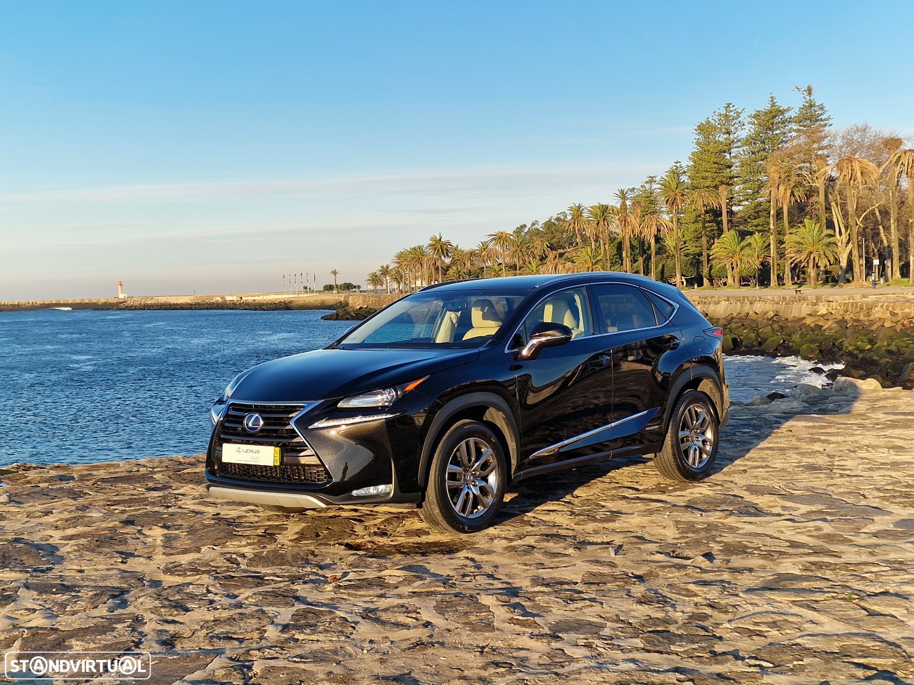 Lexus NX 300h - 1