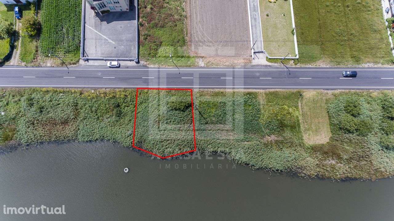 Terreno rústico com praia privativa na Ria de Aveiro - Grande imagem: 2/12