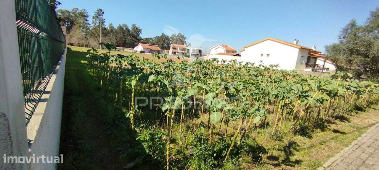 Terreno para venda em Aguada de Baixo. - Grande imagem: 2/4