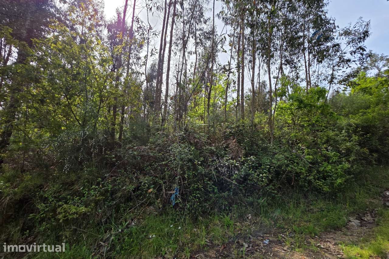 Terreno construção c/ 4000m2 Paço de Sousa, Penafiel - Grande imagem: 5/28