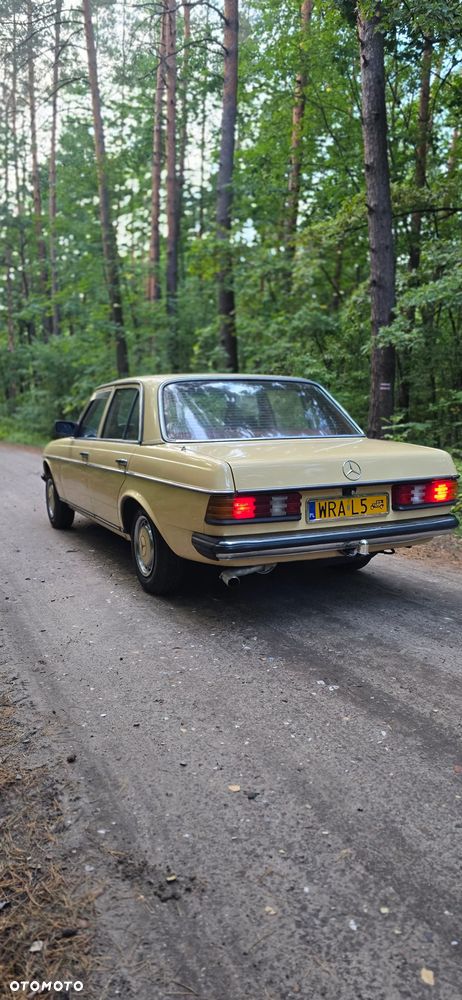 Mercedes-Benz W123 - 3