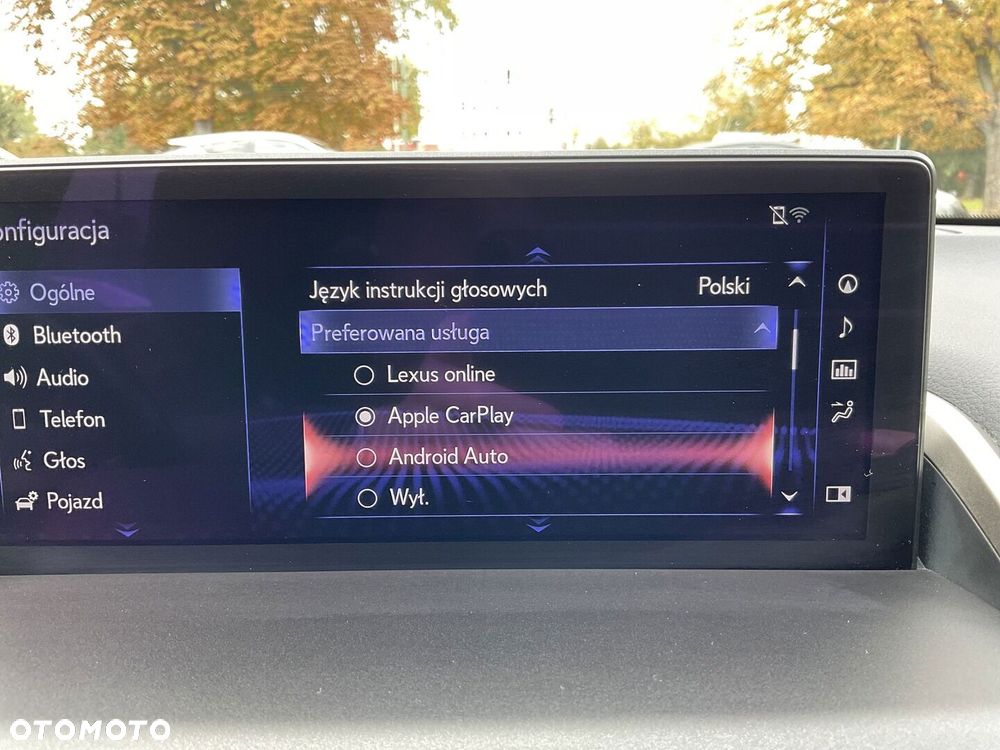 Lexus NX 300h F Sport Edition AWD - 30