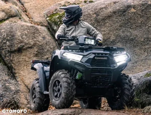 Kawasaki Brute Force - 9