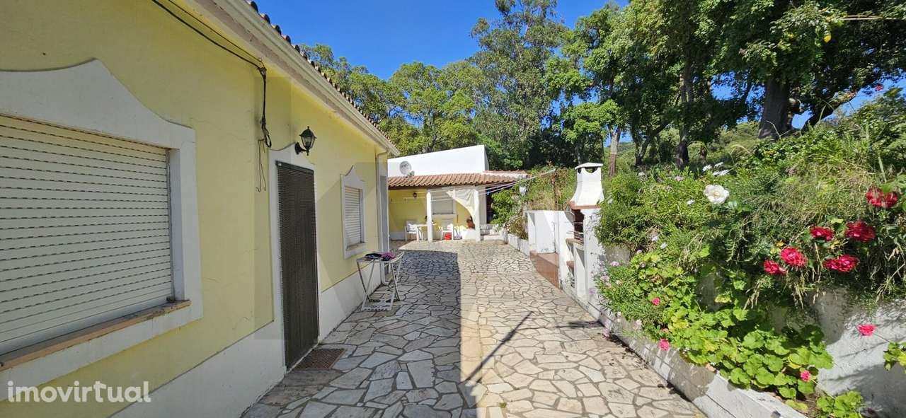 Exclusiva Propriedade Tradicional no Coração do Alentejo - Grande imagem: 4/26