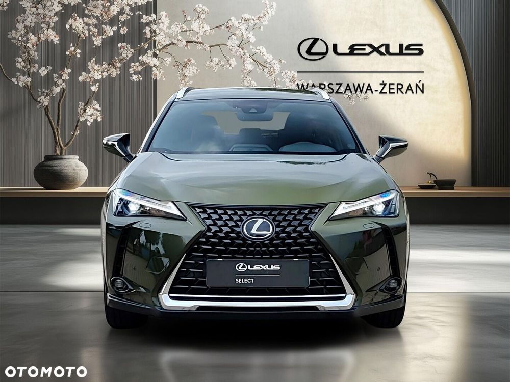Lexus UX 250h GPF Business 2WD - 10