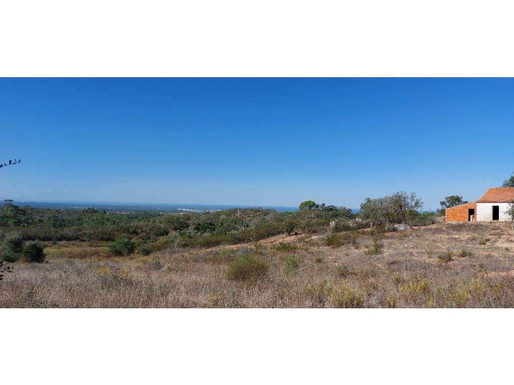 QUINTA, vista mar (5.575ha) - Grande imagem: 3/16
