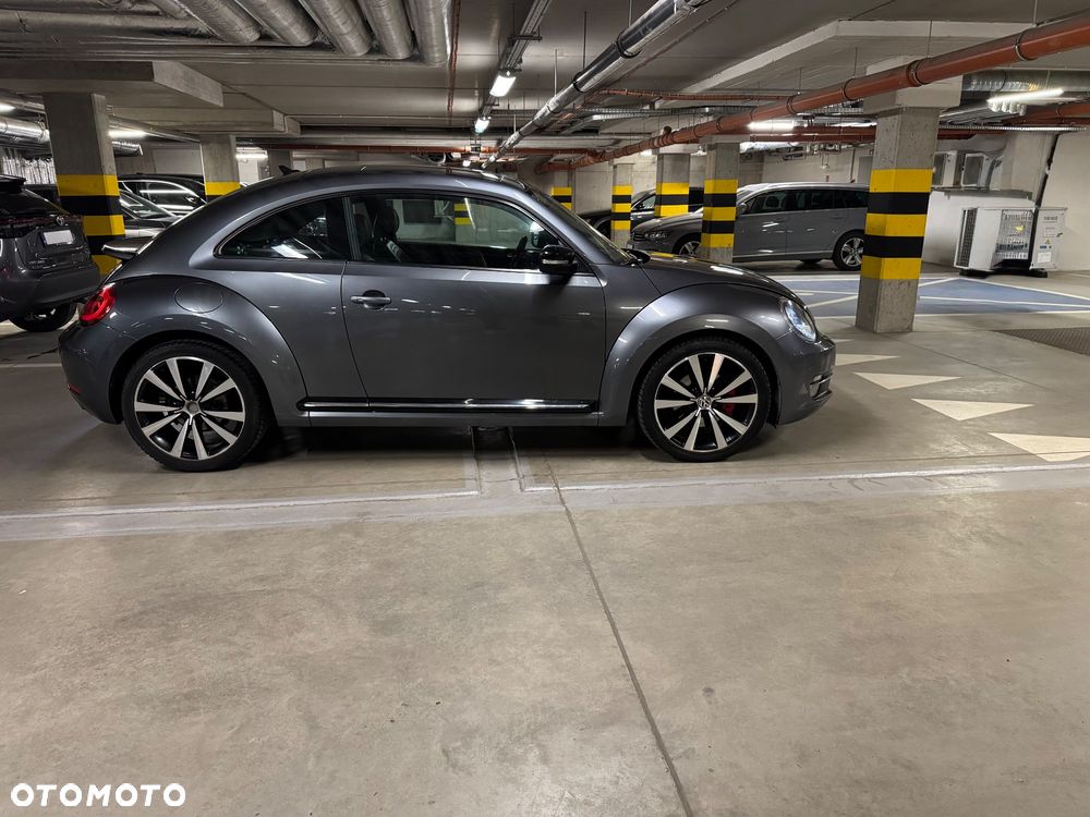 Volkswagen Beetle - 6