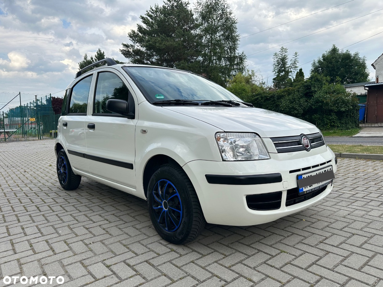 Fiat Panda 1.2 Active Eco - 5