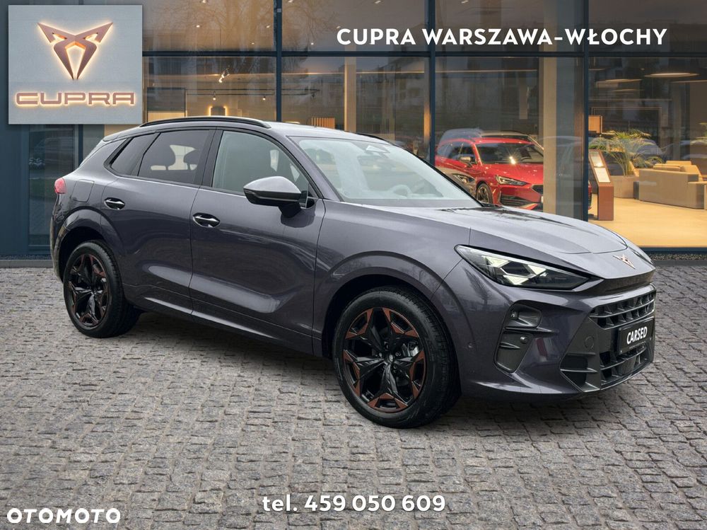 Cupra Terramar 2.0 TSI 4Drive DSG - 8