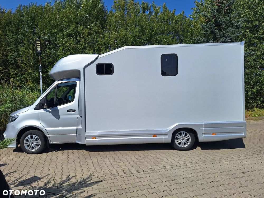 Mercedes-Benz Sprinter 319 - 9
