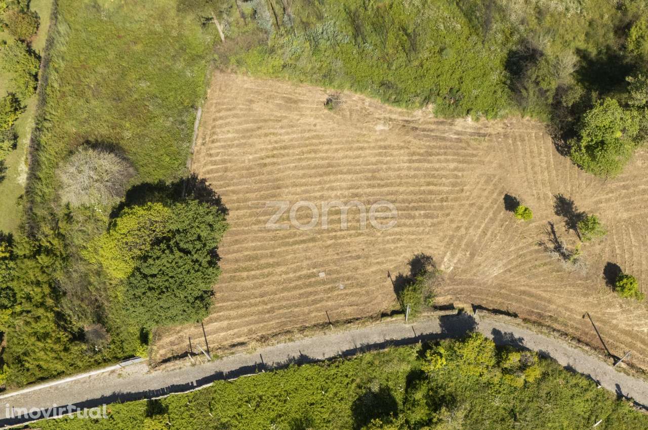 Terreno Urbano 800m2 com Projeto para moradia térrea, em Grijó - Grande imagem: 5/15