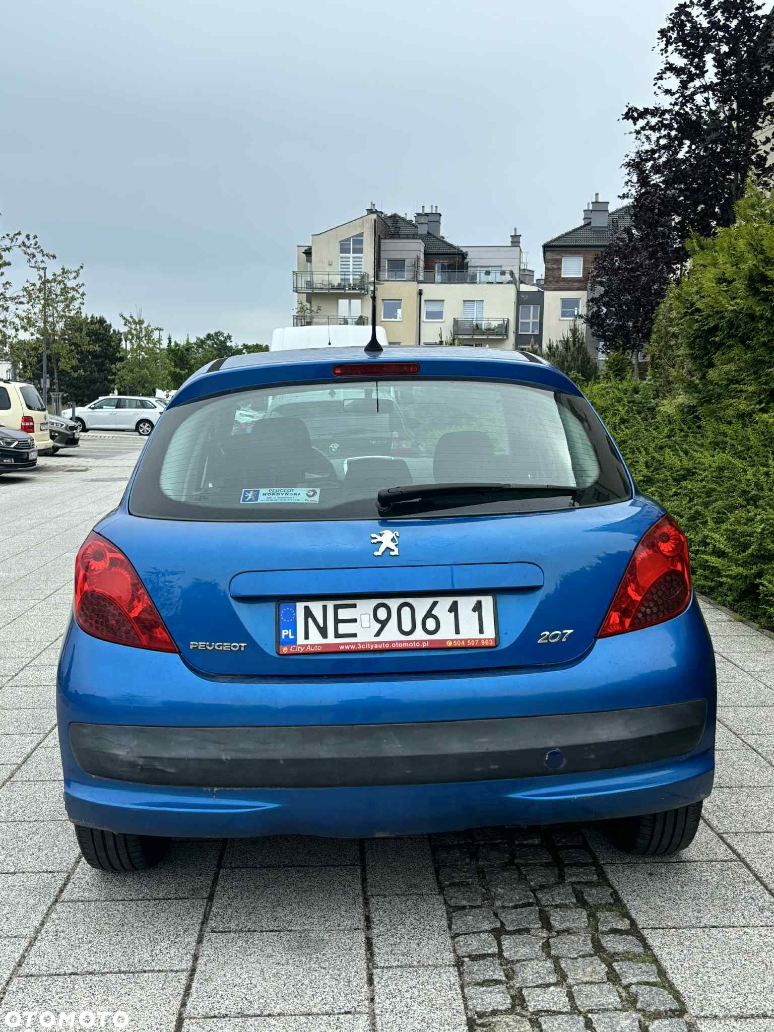 Peugeot 207 - 6