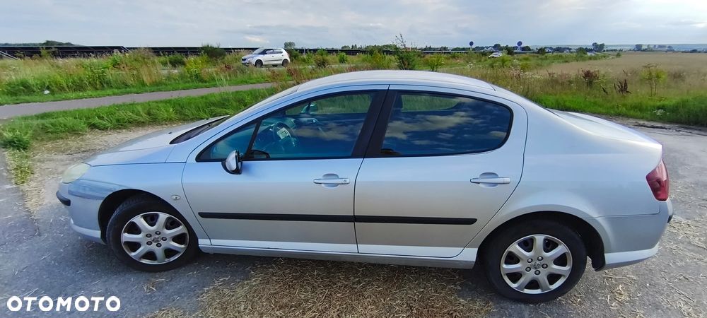 Peugeot 407 - 20