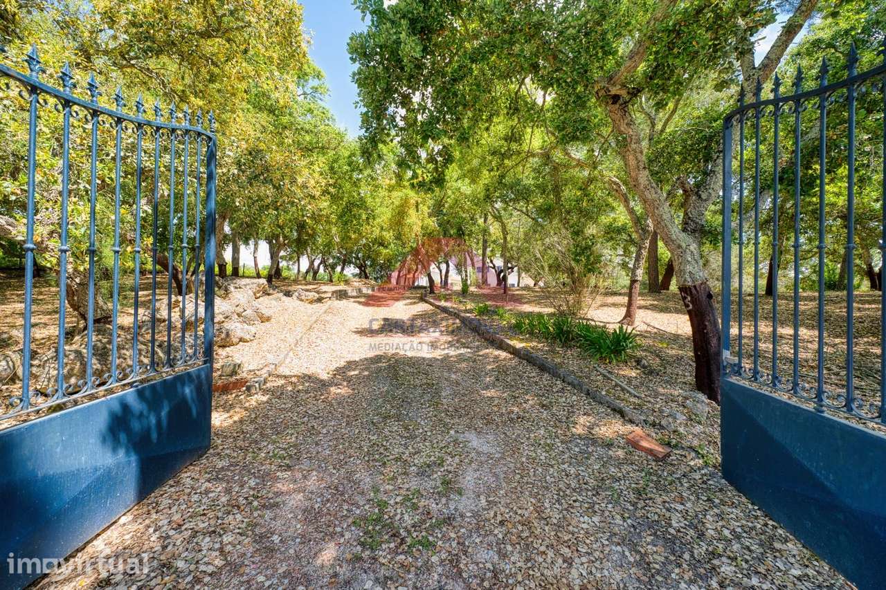 Quinta T5 Venda em Vale de Santarém,Santarém - Widok 6