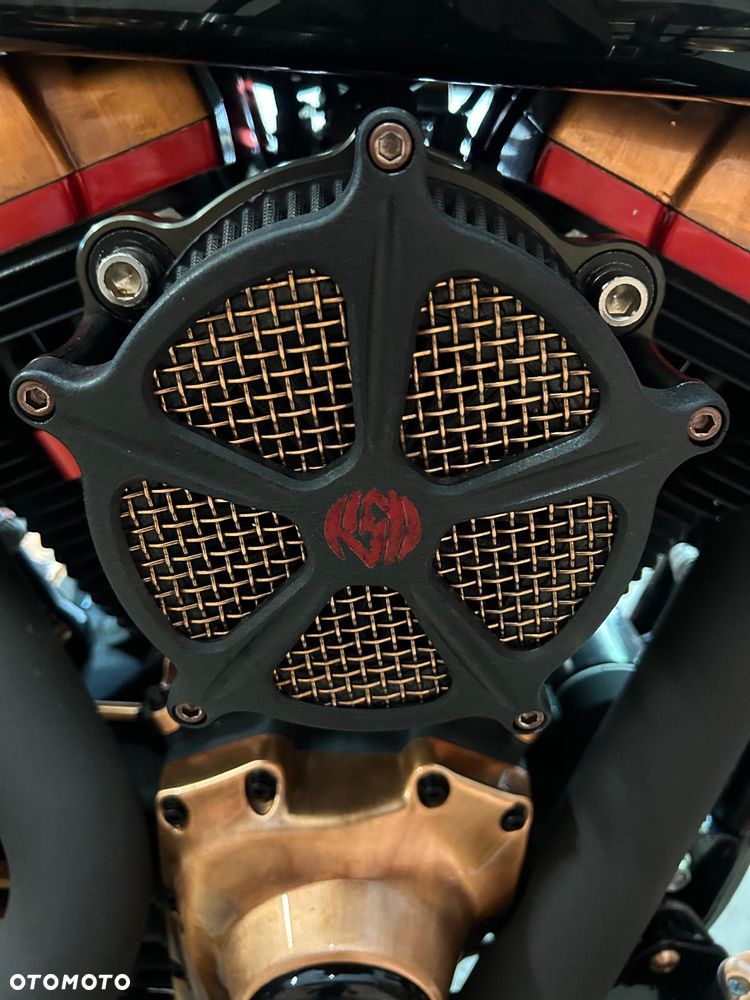 Harley-Davidson Softail Cross Bones - 8