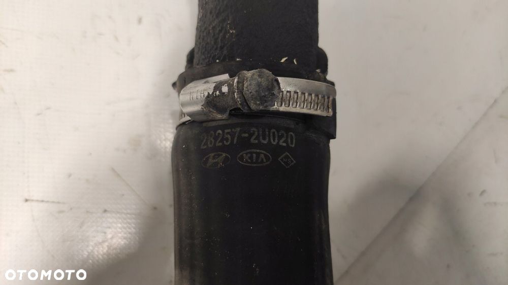 KIA CEED III 1.6 CRDI RURA PRZEWÓD INTERCOOLERA WĄŻ POWIETRZA TURBO 17-24 - 2