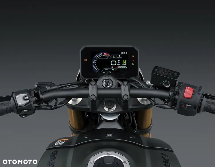 Suzuki GSX - 10