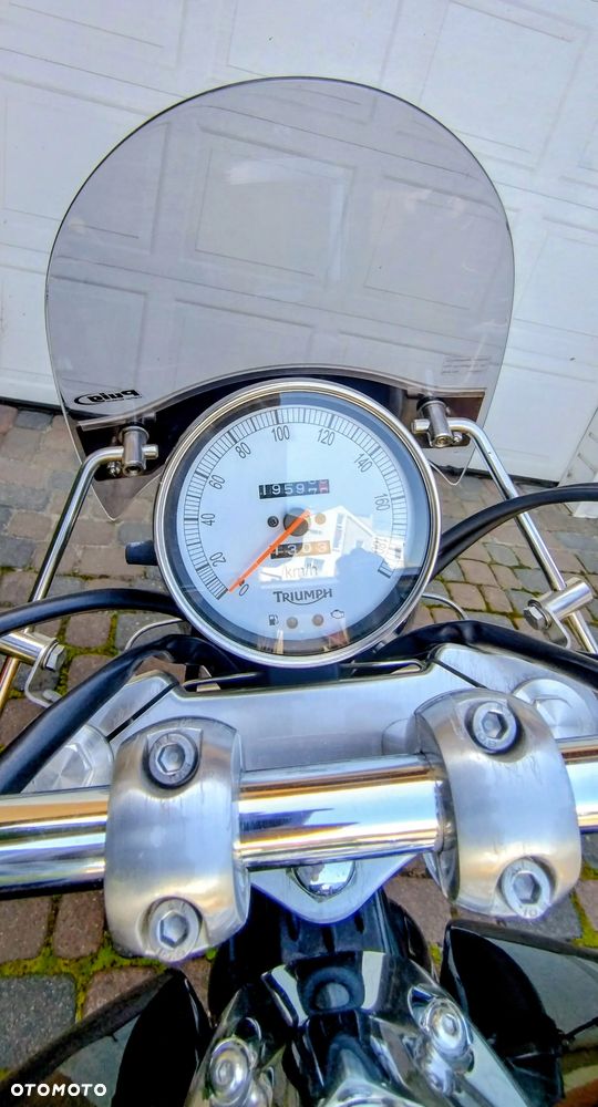 Triumph Speedmaster - 19