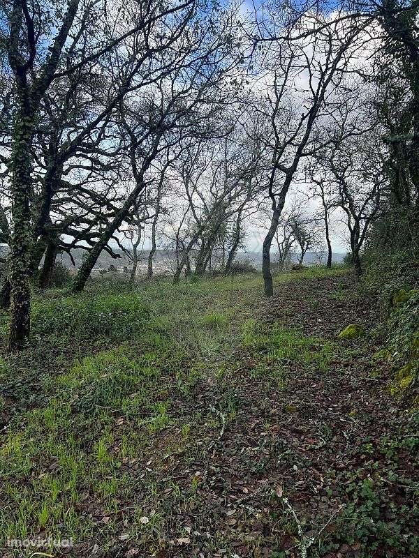 Terreno  para venda - Grande imagem: 3/9