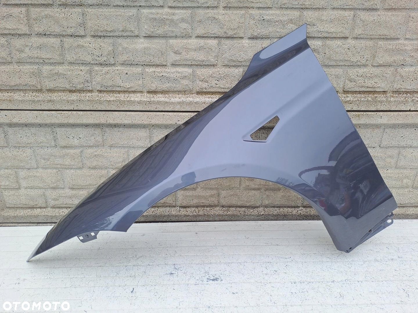 TESLA MODEL S PLAID BŁOTNIK LEWY PRZEDNI - 1