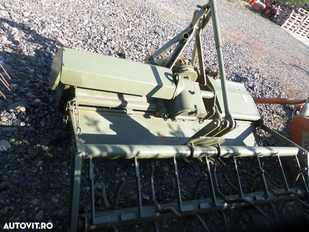 Maschio - 2