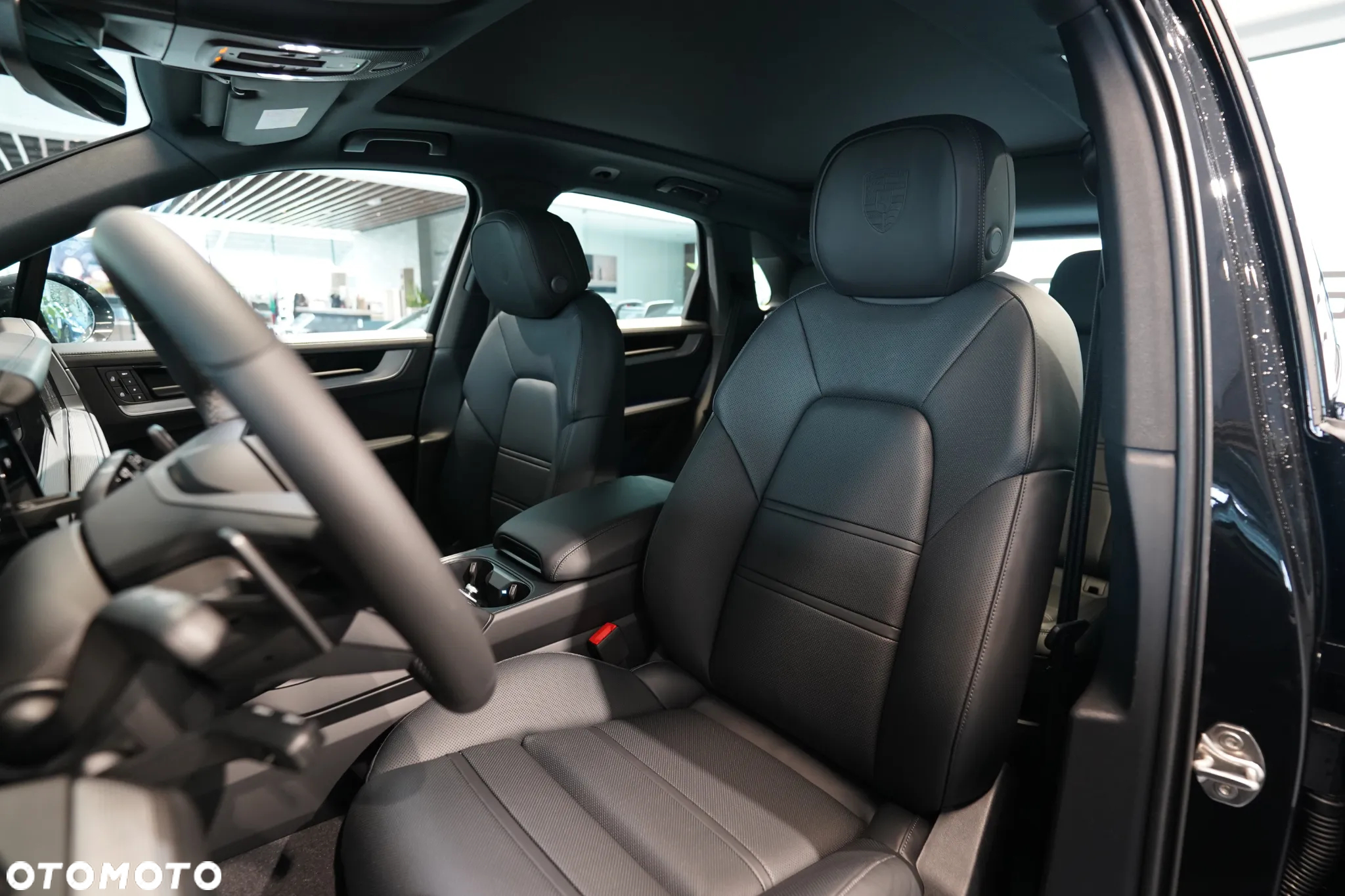 Porsche Cayenne E-Hybrid PHEV - 8