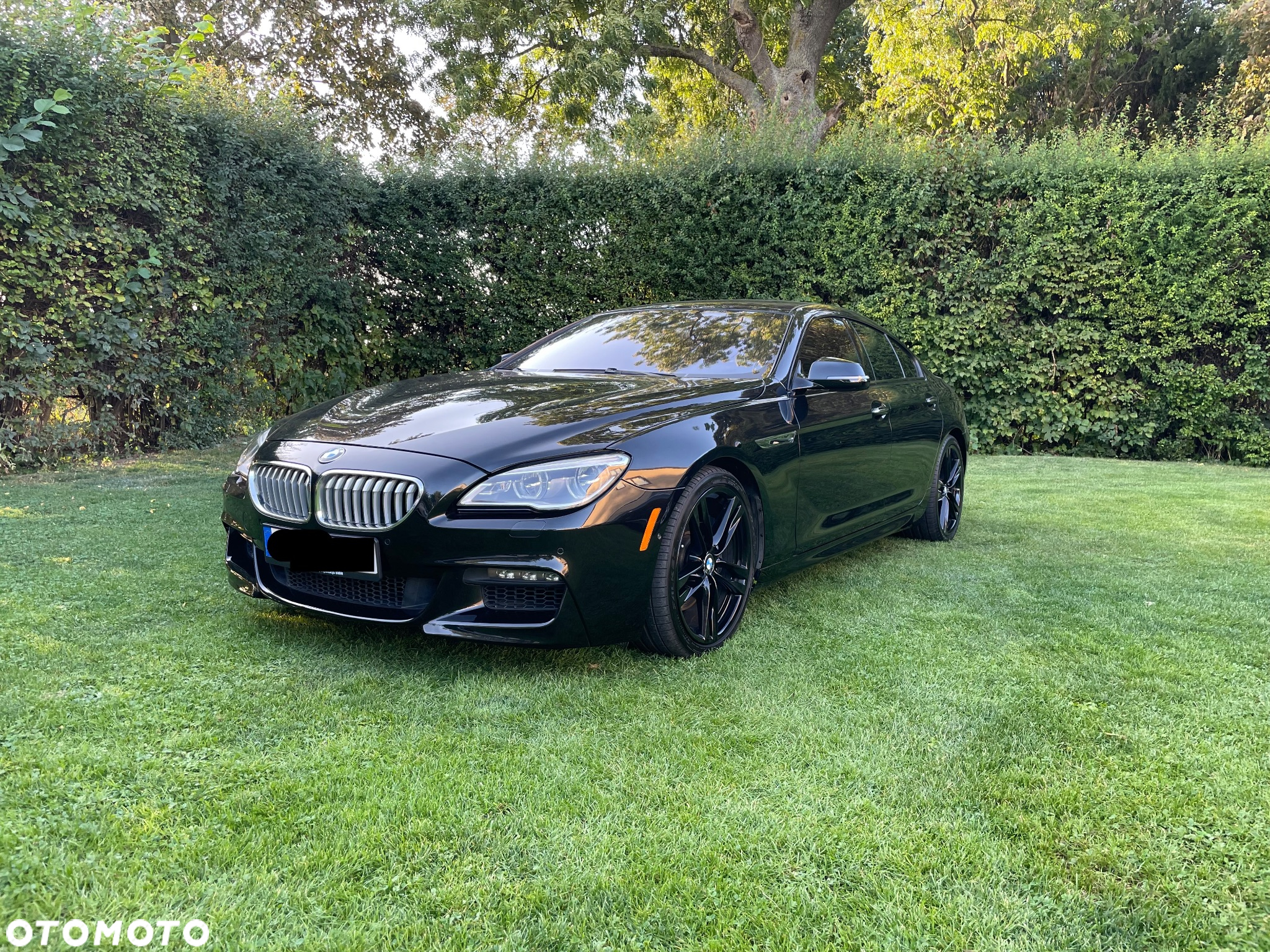 BMW Seria 6 650i xDrive Edycja M Sport - 2