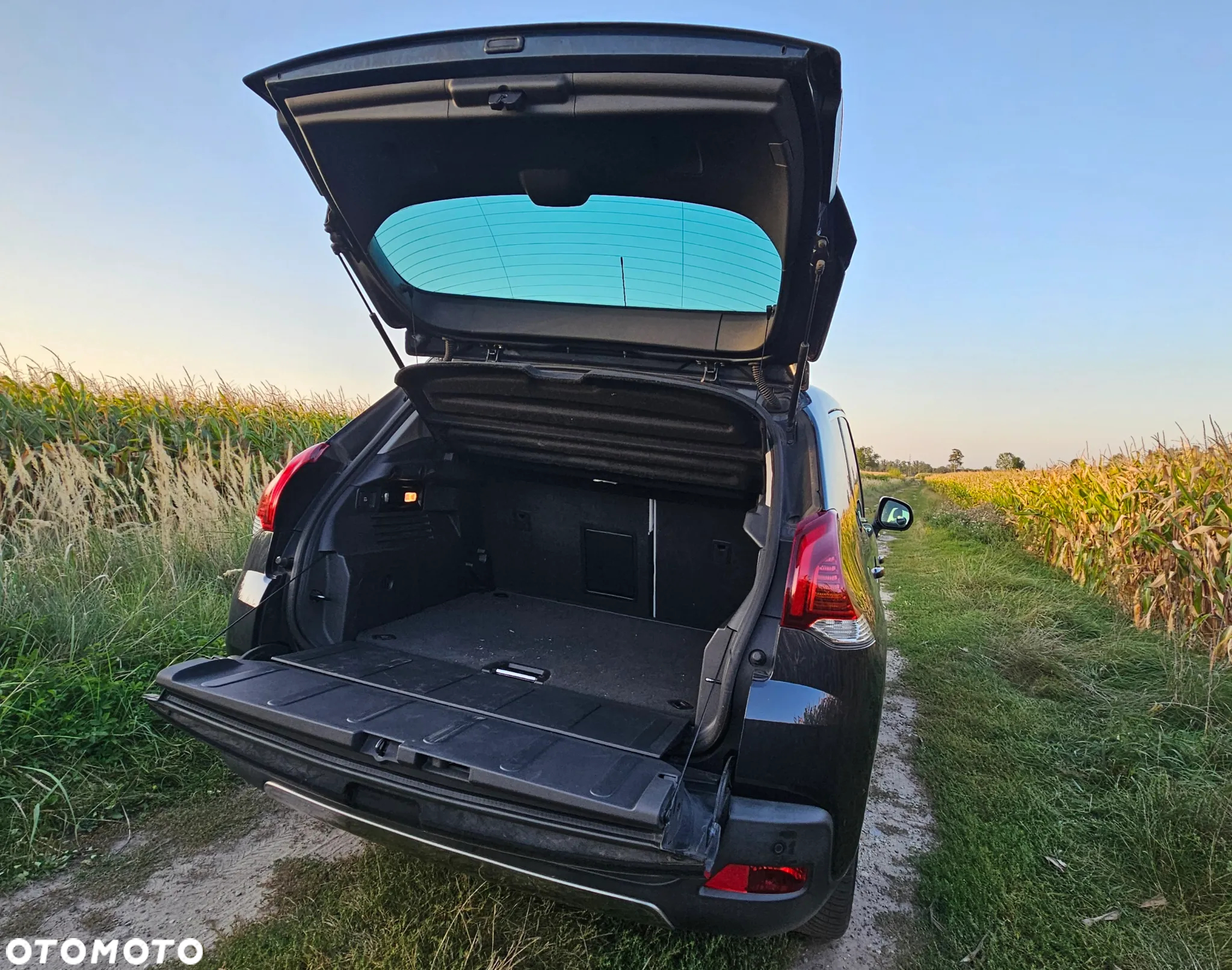Peugeot 3008 - 18