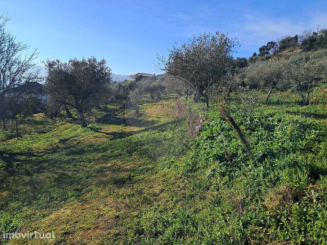 Moradia T5 para venda - Grande imagem: 3/22