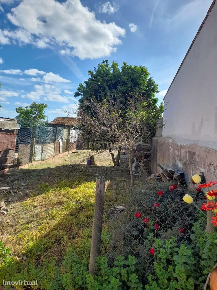 Moradia Ferreira do Alentejo - Grande imagem: 4/10