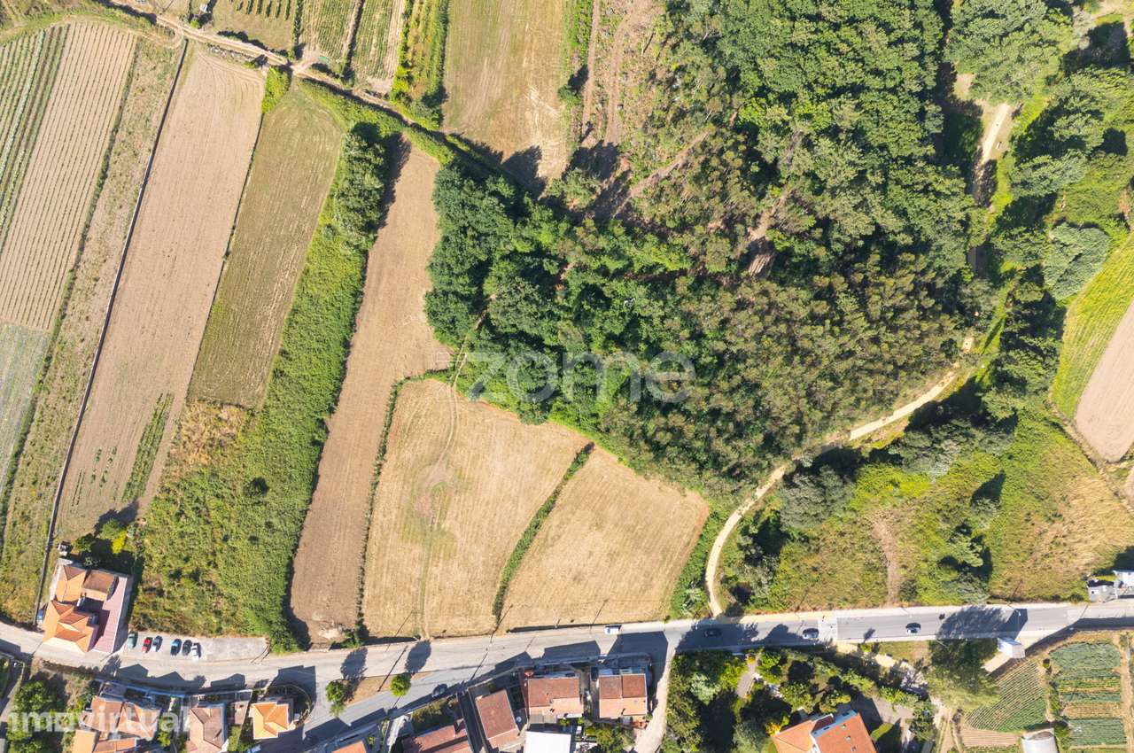 Terreno Rústico em Gondomar - Grande imagem: 4/30