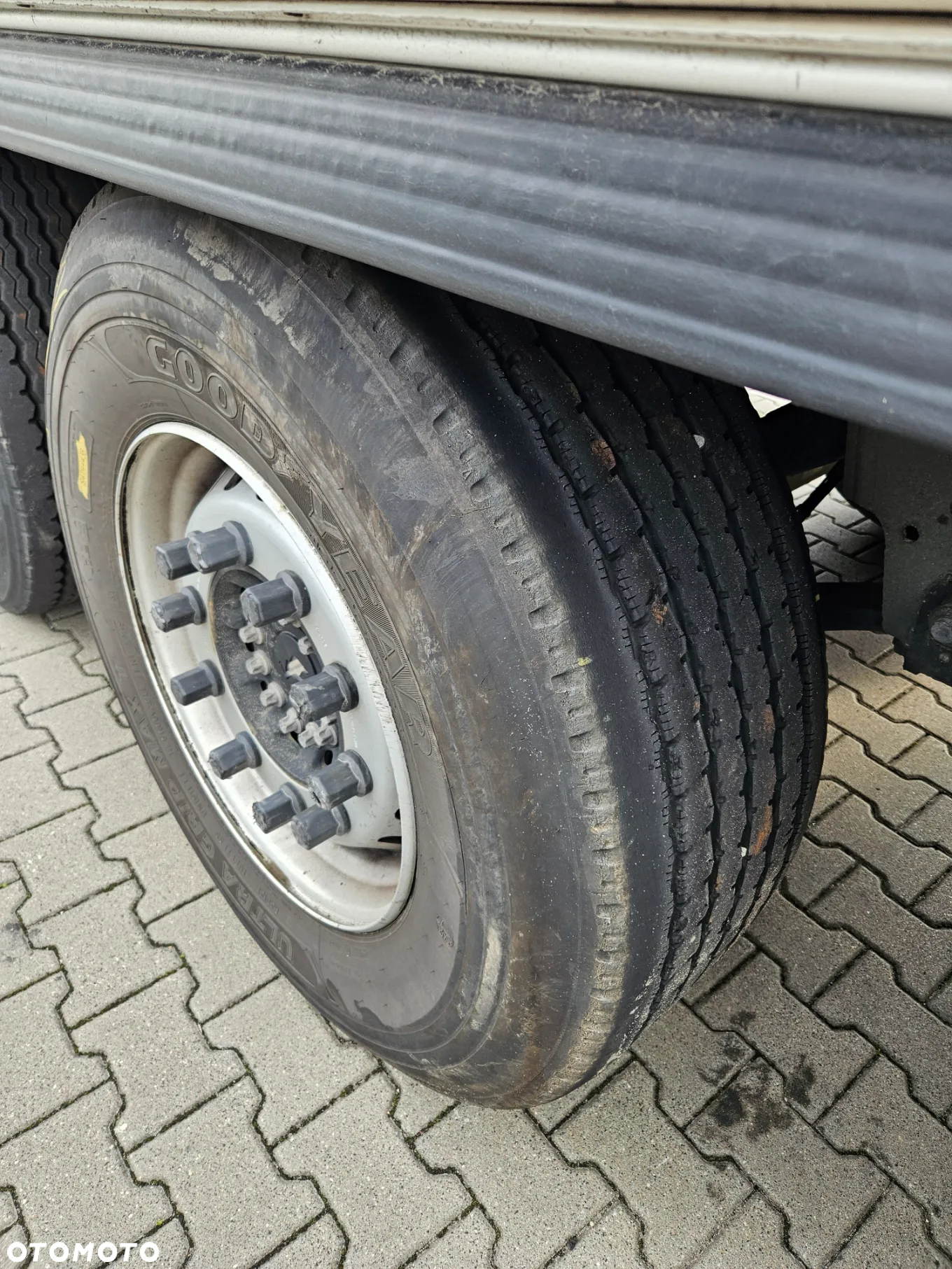 Schmitz Cargobull SKO 24 STOCK 31612 - 9